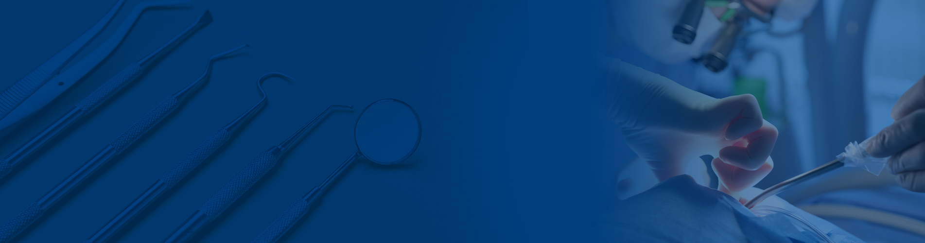 박지수 원장 - 치과보존과 전문의, 서울대학교 치과보철학 박사